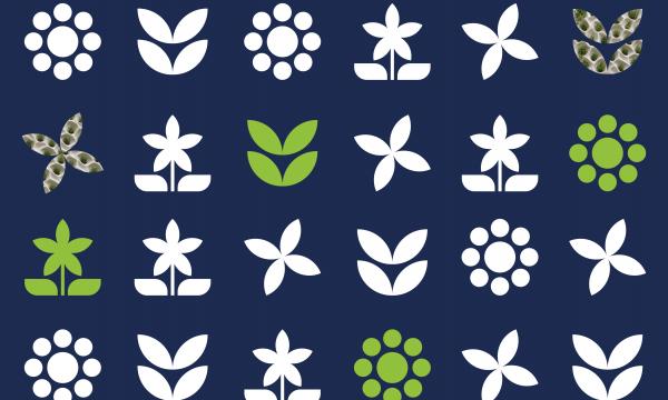 Programma del seminario tematico interdisciplinare Urban Bloomers.