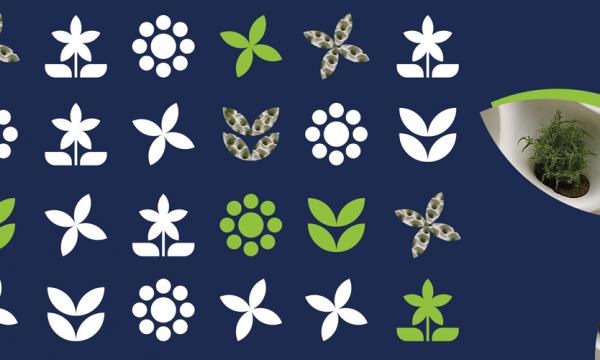 BRIGHT NIGHT 26 settembre.